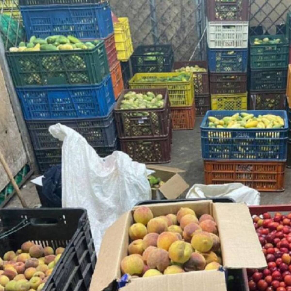 Más de 20 productos bajaron de precio en Granabastos: conozca la lista completa