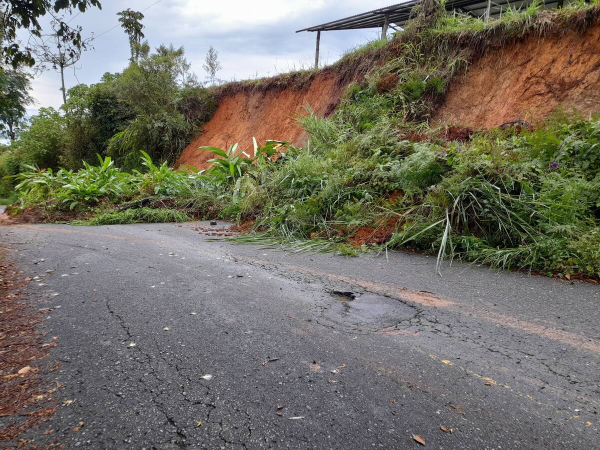 ¿Alternancia o virtualidad en algunas escuelas rurales del Quindío por derrumbes?