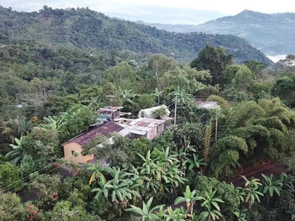 Unos 300 caficultores convertirán sus fincas en atractivos turísticos