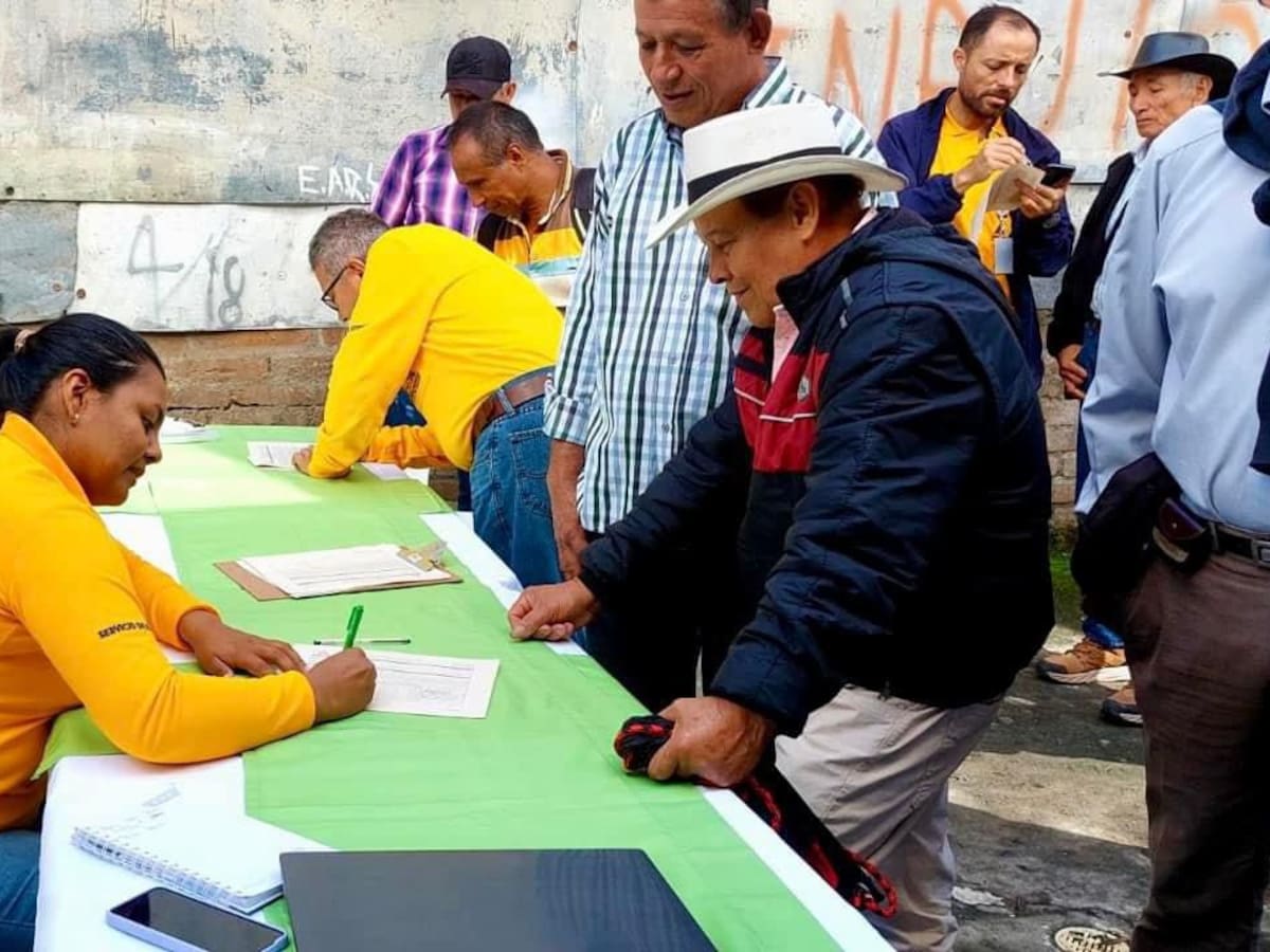 Subsidio del 30% en el valor de compra de fertilizantes para pequeños cafeteros del Quindío