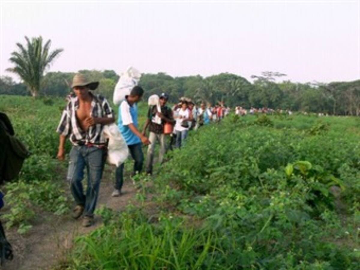 Funcionarios, exalcaldes y hasta empresarios vinculados en despojo de tierras en Urabá