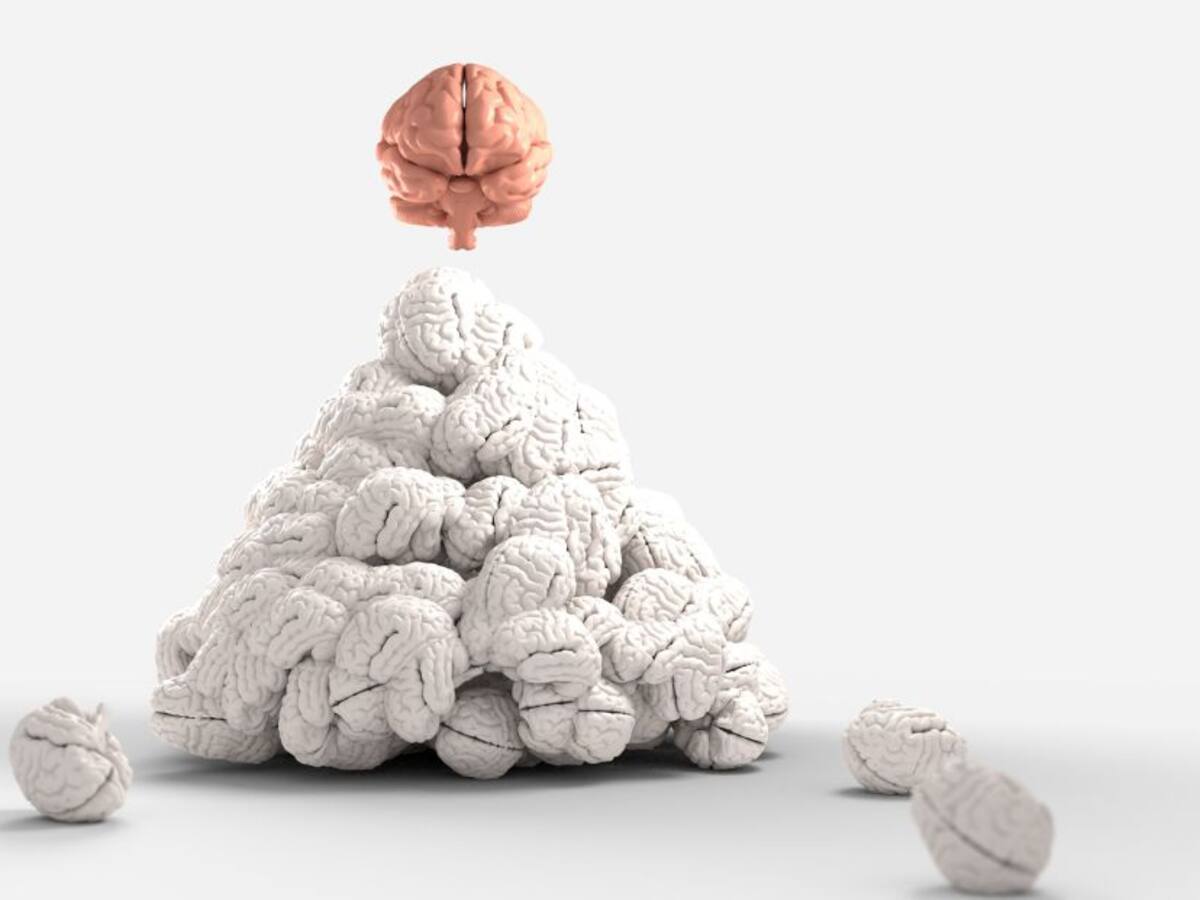 ¿Qué es la neurología?