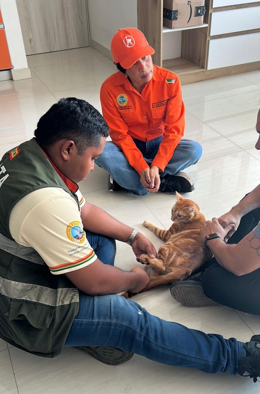 Alcaldía de Cartagena