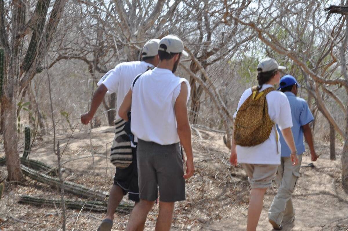 Como la única agencia de viajes con triple certificación Icontec, además de pertenecer a la ANATO, Guajira Tours ofrece las mejores experiencias del norte del país.