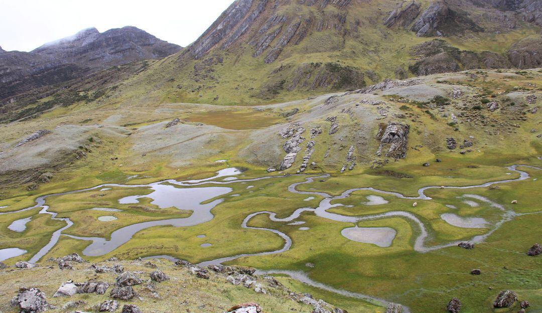 Hay mucho por conocer en este páramo desconocido para muchos colombianos, como las más de 100 lagunas de aguas cristalinas y las cerca de 700 especies de plantas y animales que allí habitan