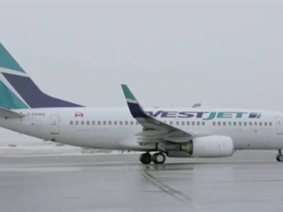 En video: sorpresa en el aeropuerto: en vez de maletas, regalos