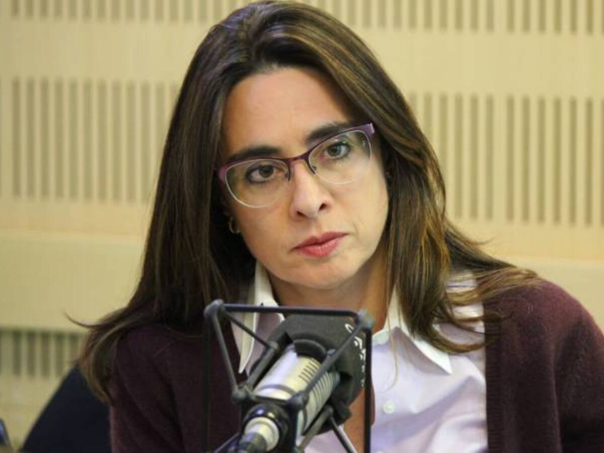 Cualquier mecanismo de participación debe darle garantías al no: C. Botero