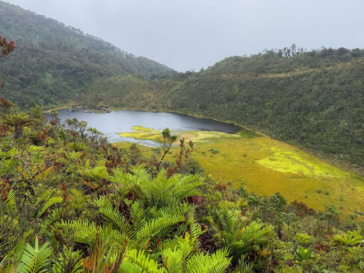CAR Cundinamarca invertirá 500 millones de pesos en renovación de la reserva Laguna de La Petaca