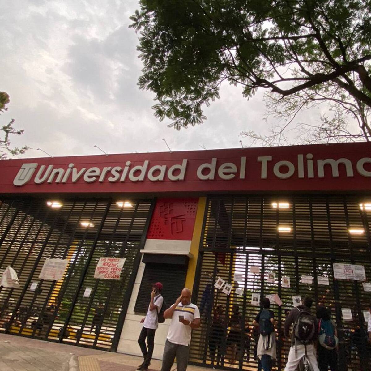 Universidad del Tolima anuncia apertura del programa de Gastronomía