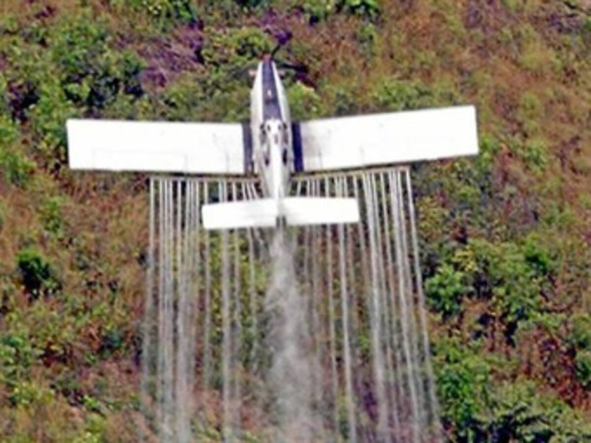 En Nariño rechazan anunció de reanudación de aspersiones