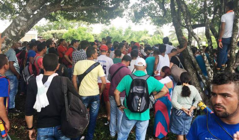 Campesinos del Catatumbo marcharan en Cúcuta pidiendo implementar acuerdos de paz