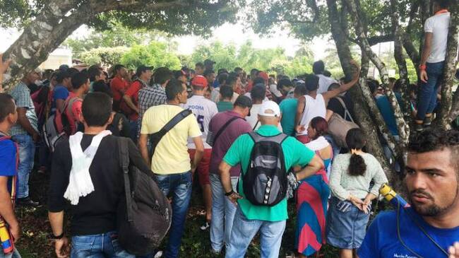 Campesinos del Catatumbo marcharan en Cúcuta pidiendo implementar acuerdos de paz