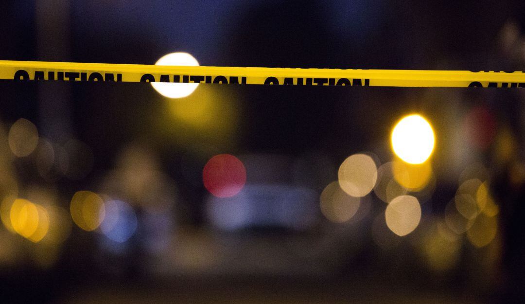 Imagen de referencia