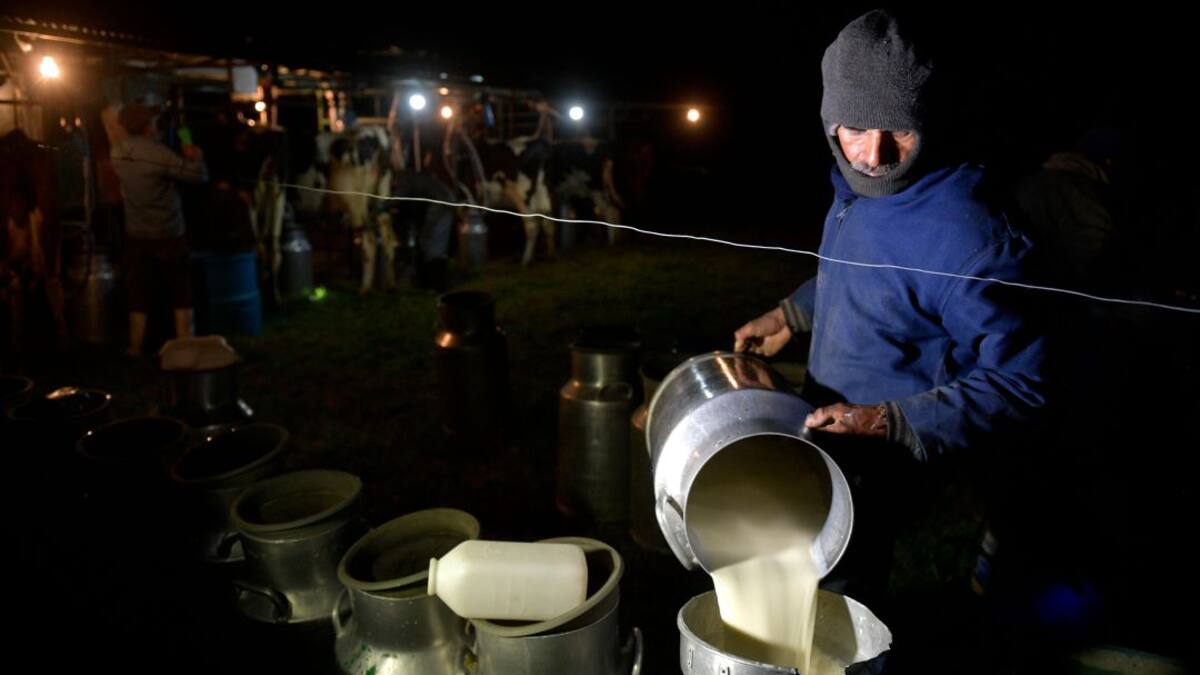 Productores de leche han perdido 93mil millones de pesos debido a bloqueos