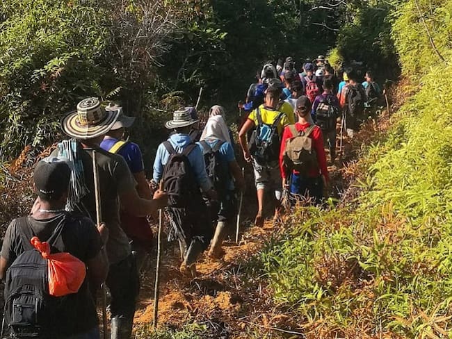 Campesinos de Córdoba se resisten a la erradicación forzada de la coca
