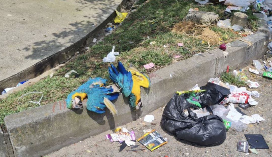 Referencia de los hechos 