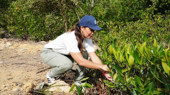En el marco del Día Mundial del Medio Ambiente