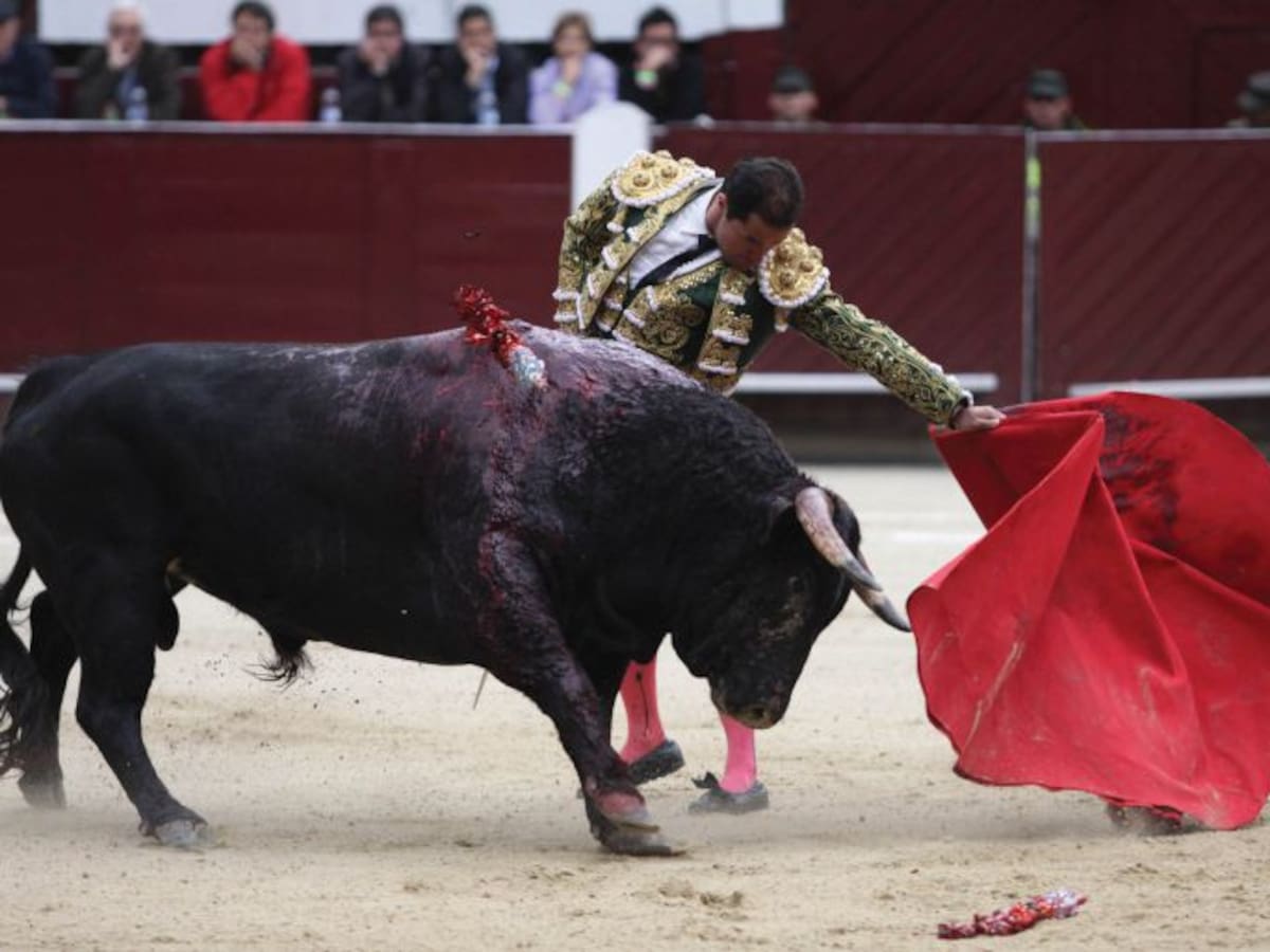 La consulta taurina no solo es imprimir tarjetones: Registraduría