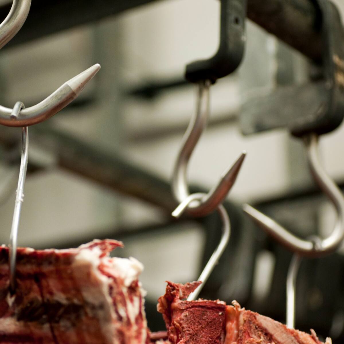 Ámsterdam prohibirá la publicidad de carne y combustibles fósiles en el espacio público