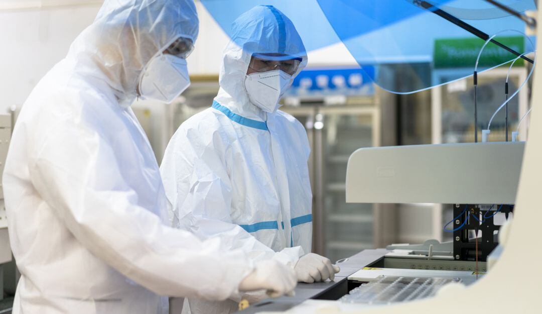 Imagen de referencia