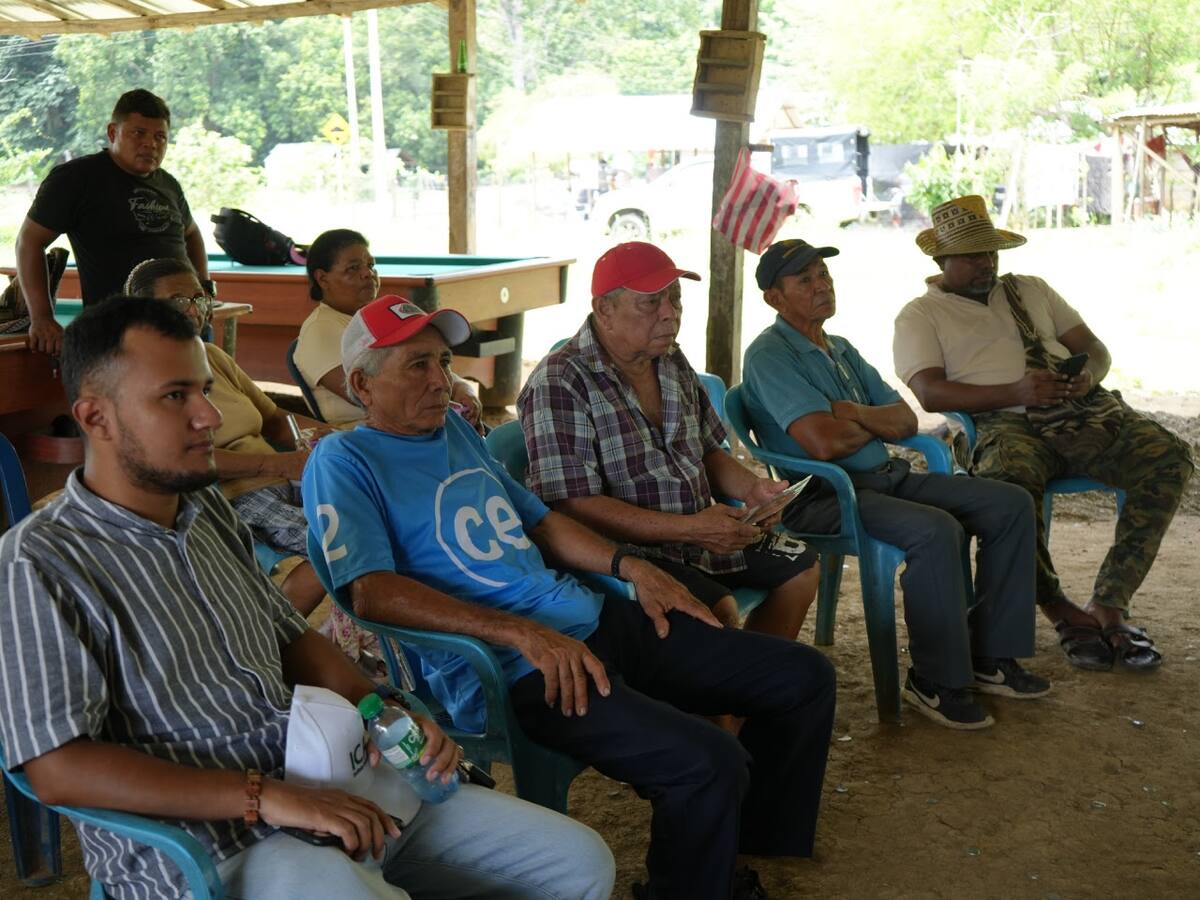 Identificaron las plagas más comunes que afectan el rendimiento del ñame y el plátano en Bolívar