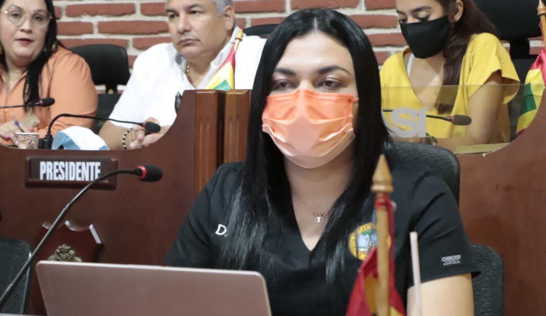 Los cabildantes señalaron que ha fallado la aplicación de protocolos como la periodicidad de la fumigación