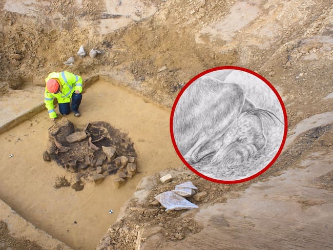 Excavación paleontológica, imagen de referencia. Fotos: Getty Images y EP.