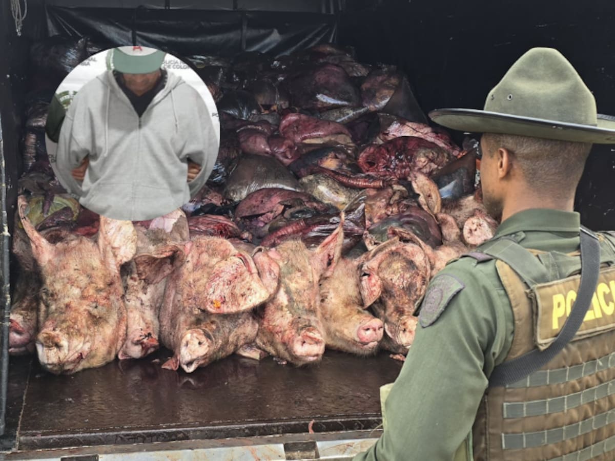 Incautaron 6 toneladas de carne donde se sacrificaban animales de manera clandestina