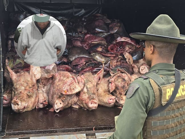 Carne incautada y persona capturada en Donmatías- foto alcaldía