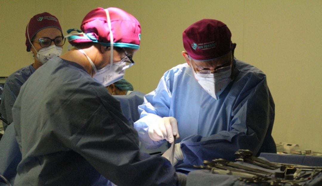 Trasplante de órganos