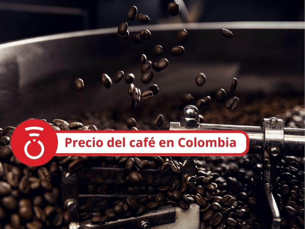 Precio del café HOY 22 de septiembre: disminuye el valor del grano tras mínimo incremento