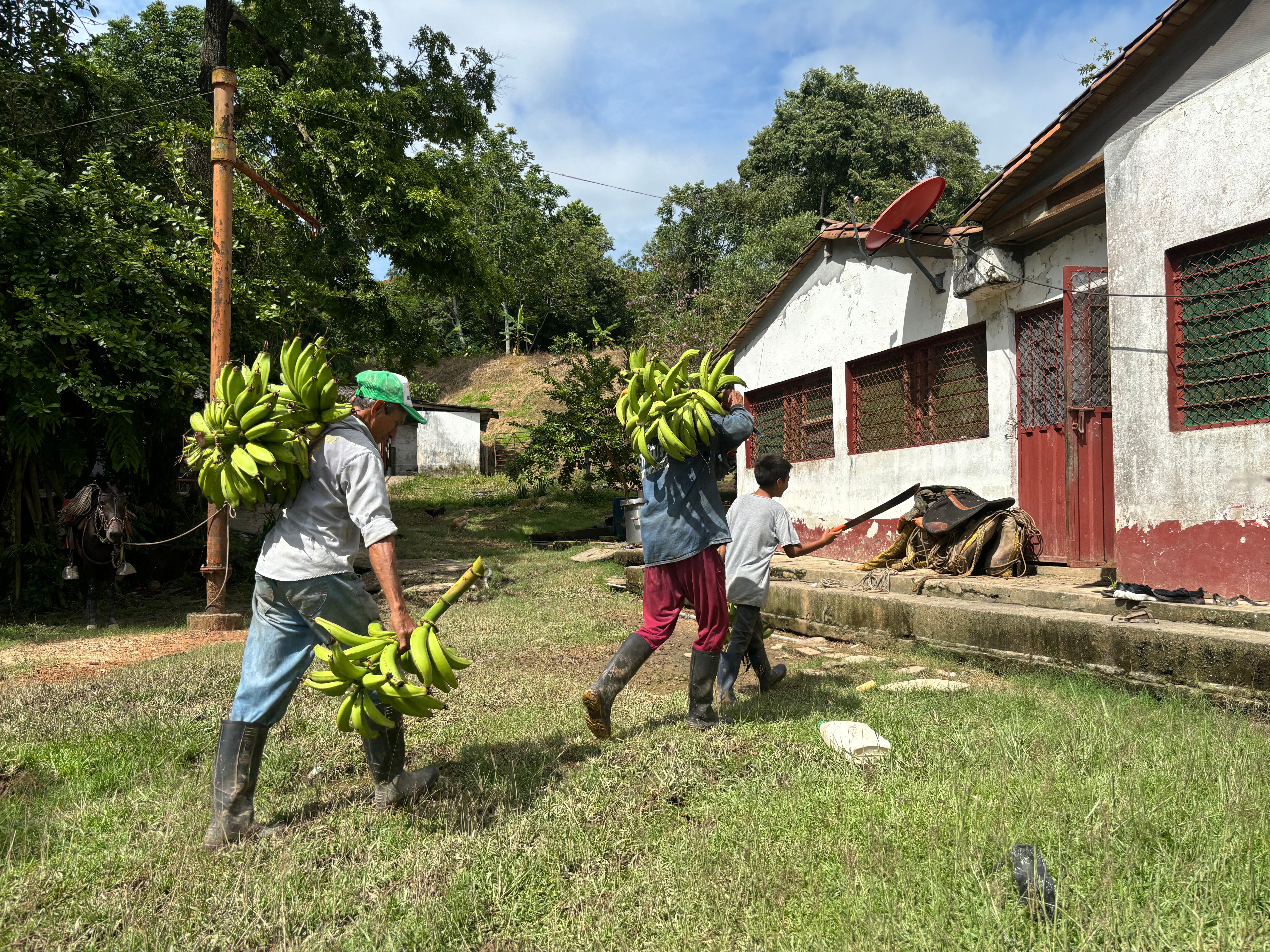 Foto: cortesía ANT.