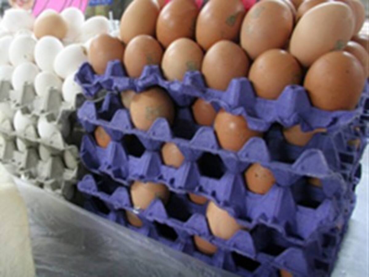 México elimina aranceles a la importación de huevos colombianos