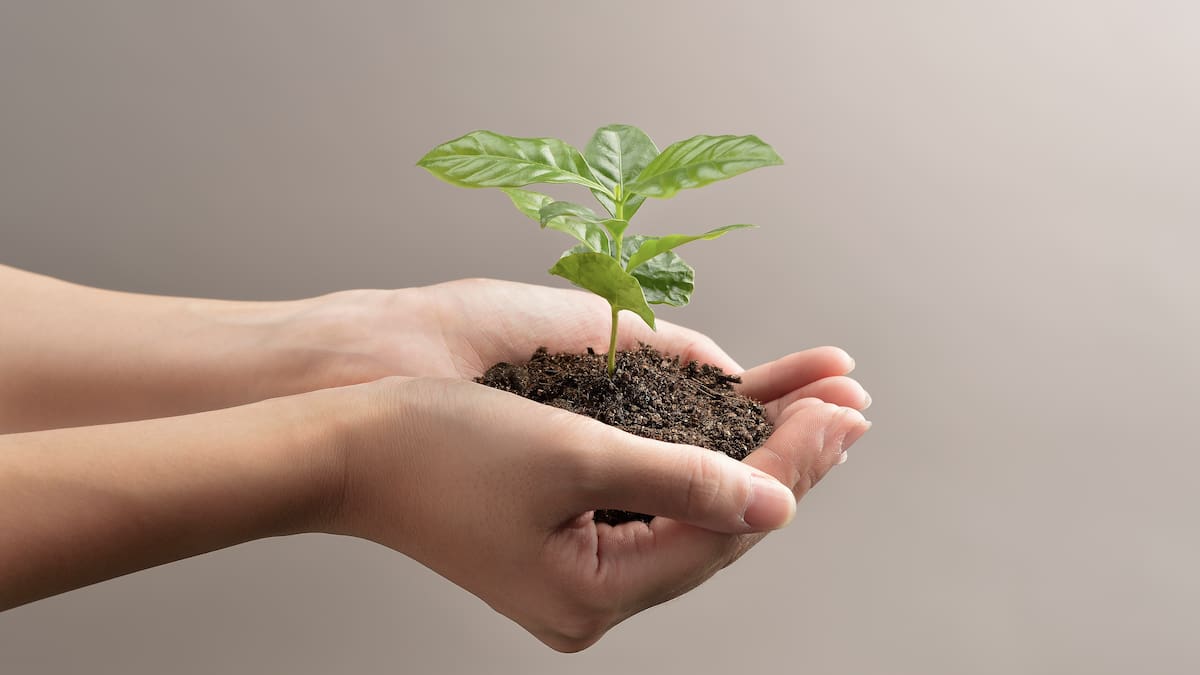 El medio ambiente le importa a 9 de cada 10 colombianos