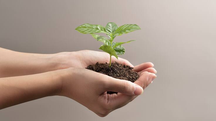 El medio ambiente le importa a 9 de cada 10 colombianos