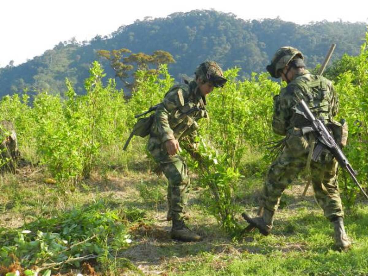 Los 12.000 militares que cuidarán a las Farc