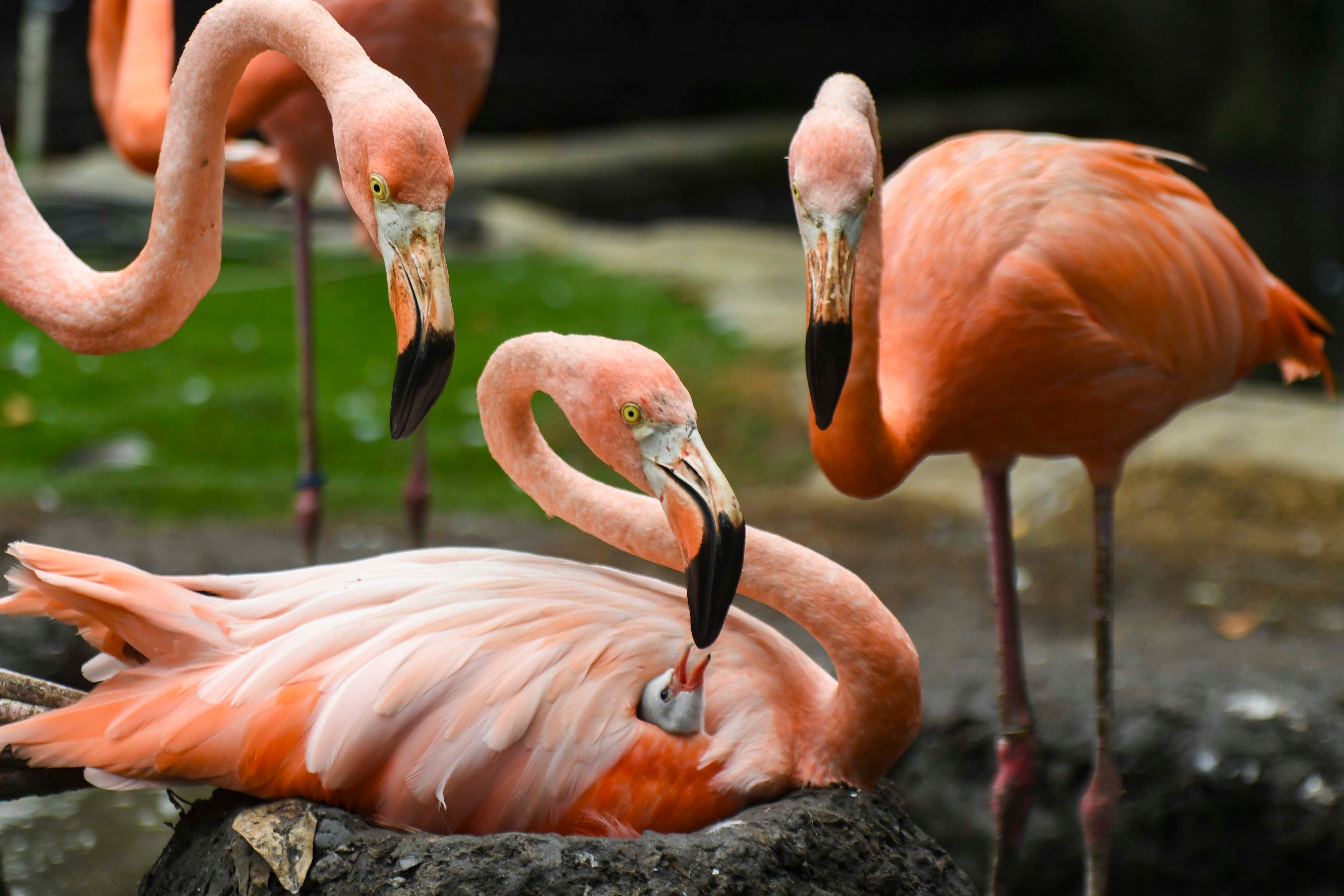 Héctor Rico - Puerto de Cartagena
