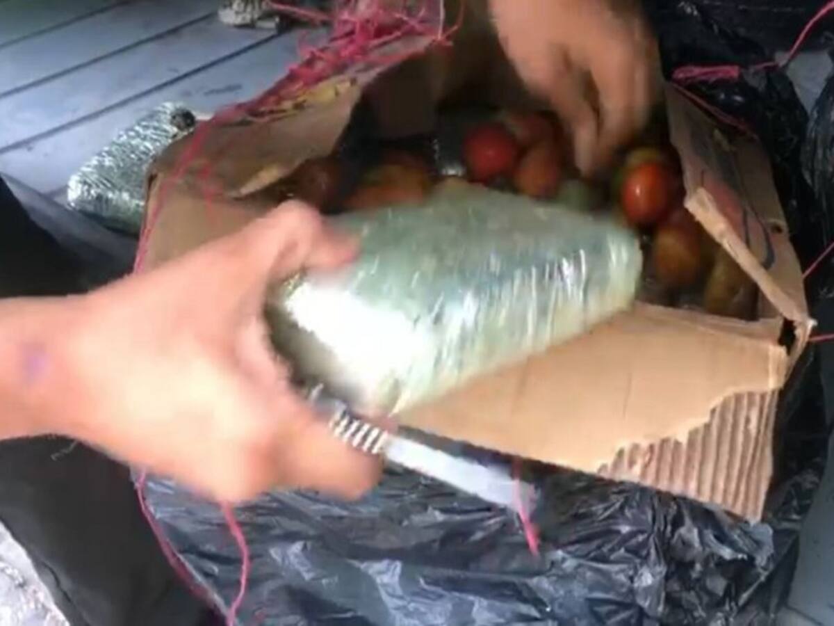 Droga oculta entre frutas abastece el mercado 'negro' de Santa Marta