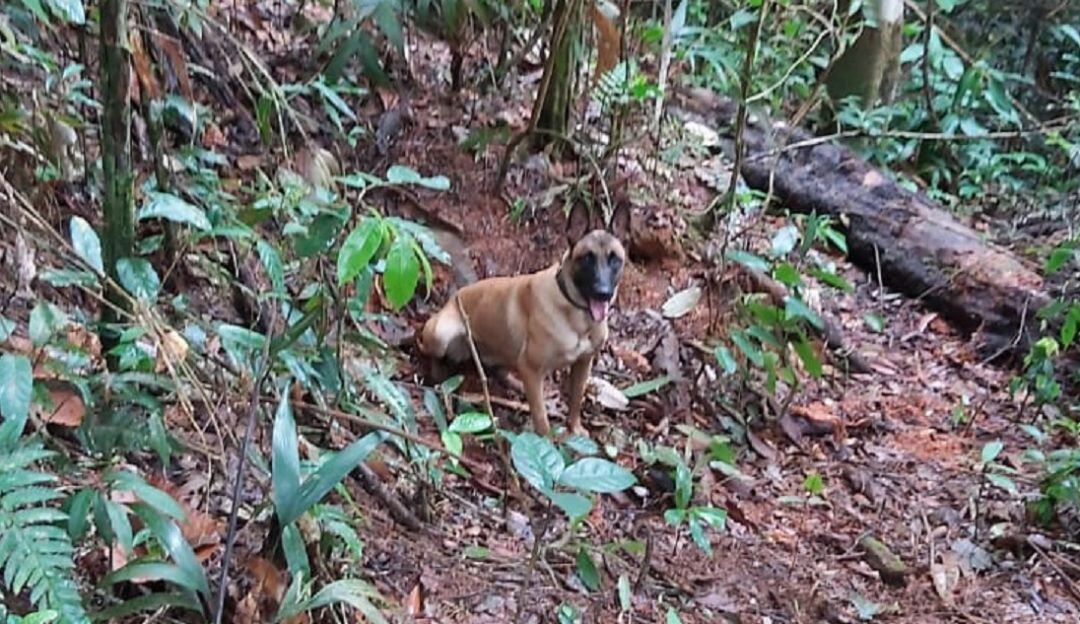 Uma alertó a 36 soldados profesionales del cilindro bomba.