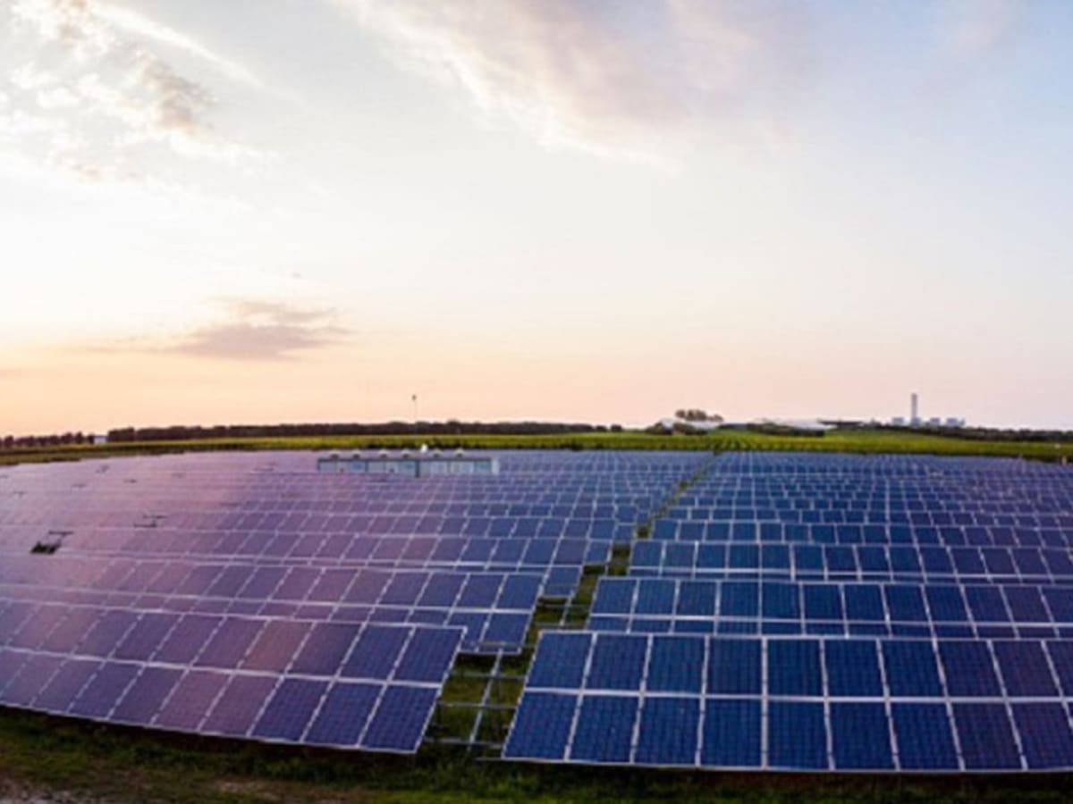 ¿Qué respondió ganador de licitación para granja solar de Mulalo?