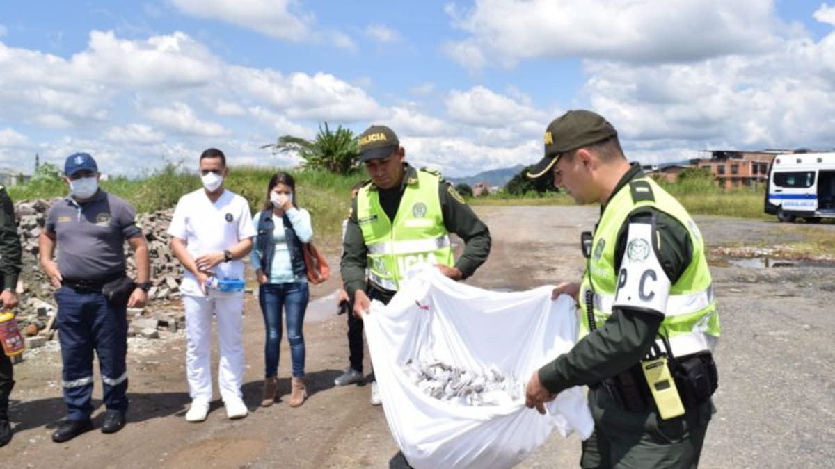 4.000 dosis de drogas fueron incineradas por las autoridades de Pereira