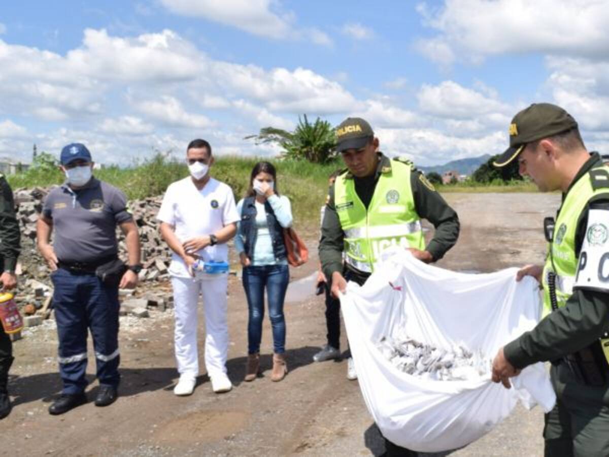 4.000 dosis de drogas fueron incineradas por las autoridades de Pereira