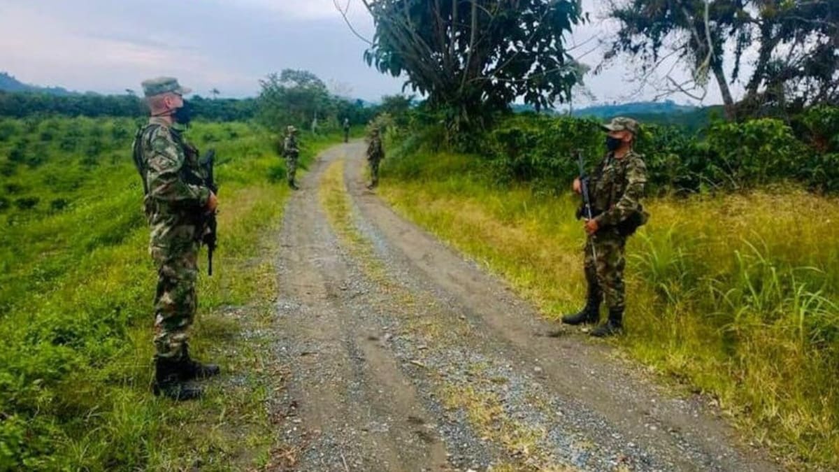 Seis soldados quedaron heridos en campo minado en Valdivia; un canino murió