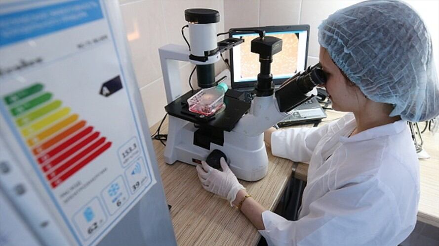 Imagen de referencia. Foto: Getty Images