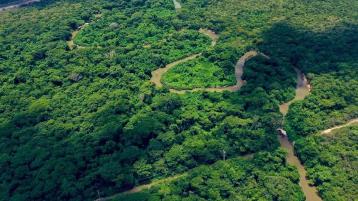 Personaje de la Semana