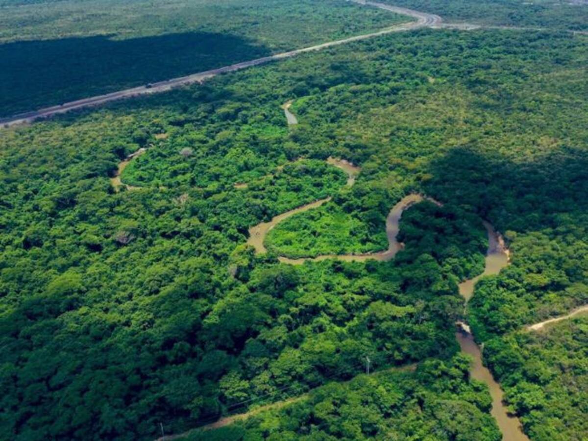 “La minería es un motor de desarrollo para el país”: Marcela Bayona, subgerente de Estudio Jurídico