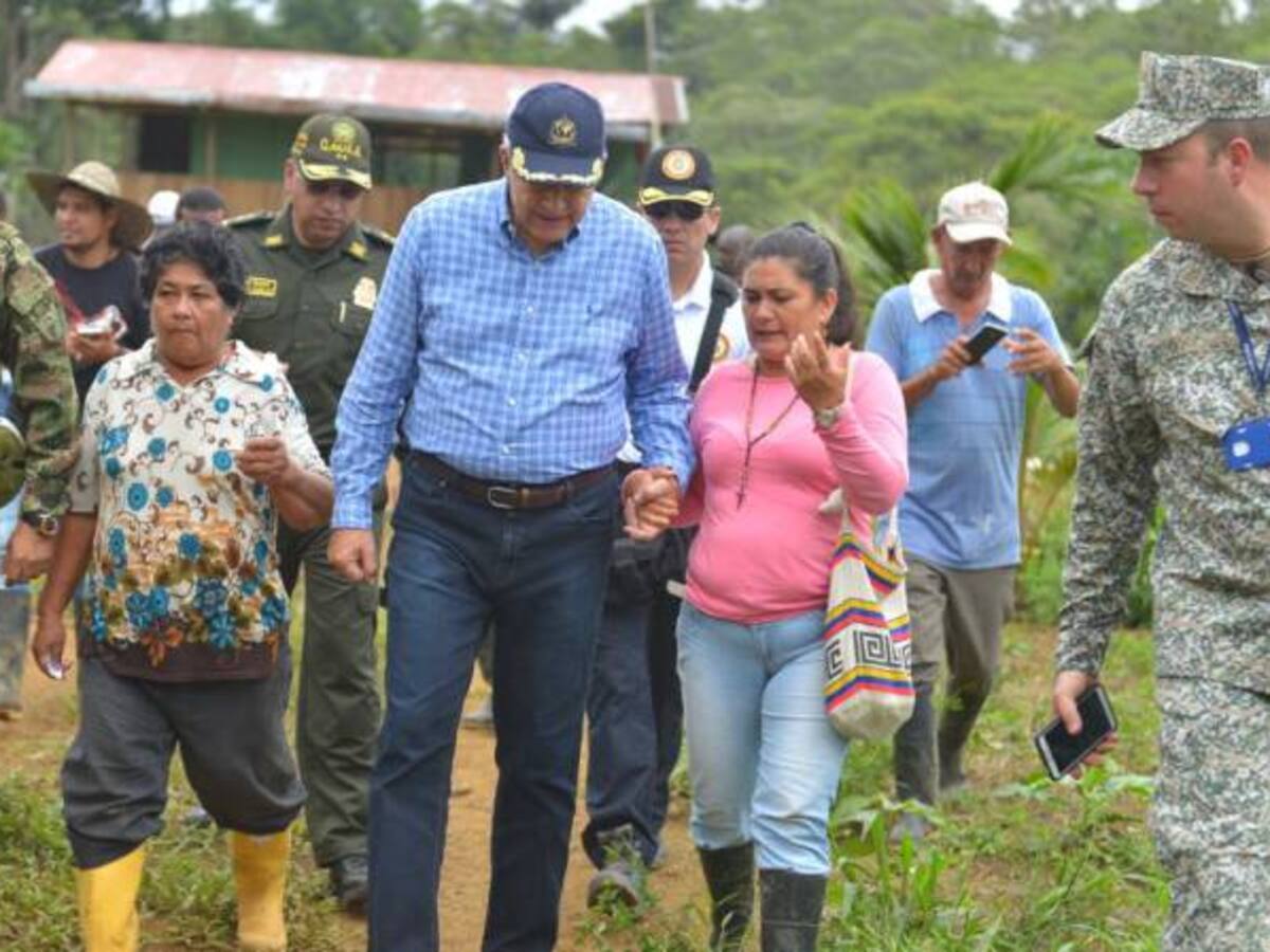 Gobierno ha erradicado el 65% de la coca en Tumaco