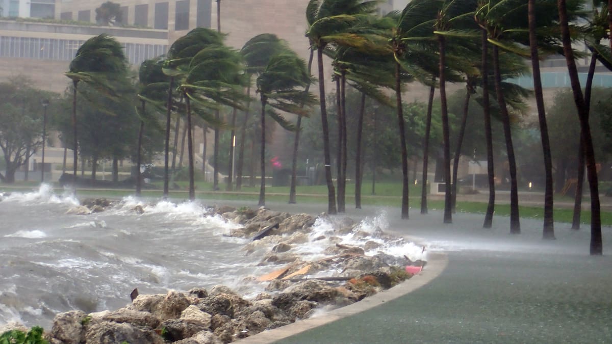 Florida declara en emergencia en 41 condados por amenaza de posible huracán