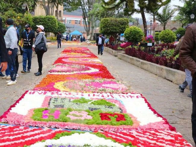 Tapetes Florales que cuentan la belleza de las flores del municipio