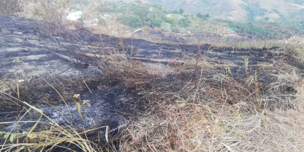 Cerro de Cristo Rey, luego del incendio forestal
